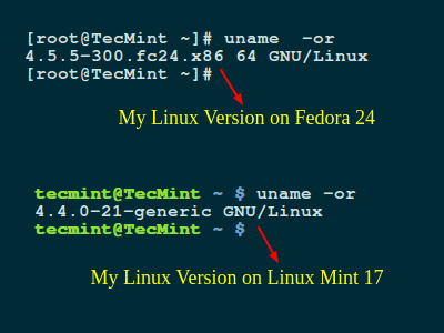 Как узнать версию Linux на компьютере — какое ядро используется. Узнаем версию дистрибутива Linux