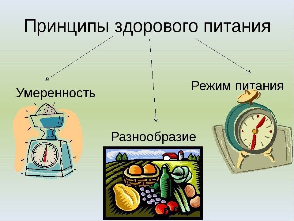 Принципы рационального питания картинки