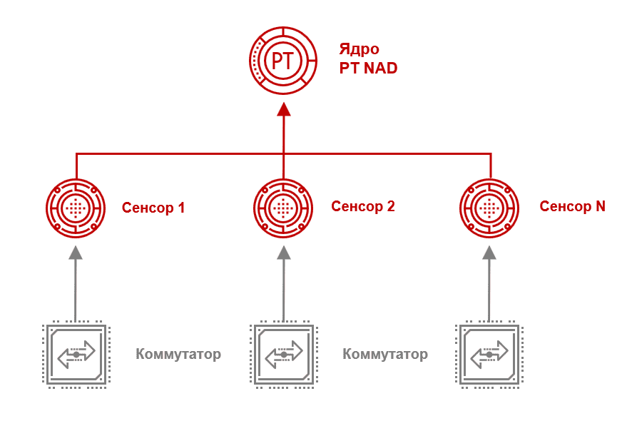 Pt network. Pt Network Attack Discovery. Pt Discovery Network Attack Discovery. Pt Network Attack Discovery Интерфейс. Pt nad схемы.