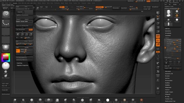 Все о ZBrush: особенности и применение